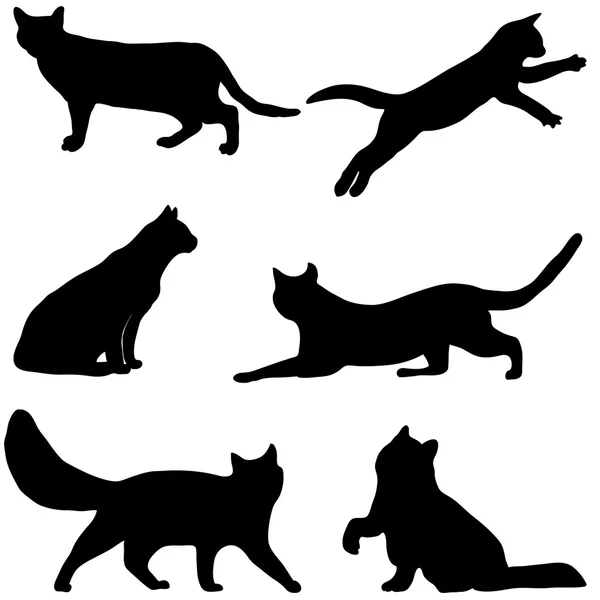 Katzen Kollektion - Vektor Silhouette — Stockvektor