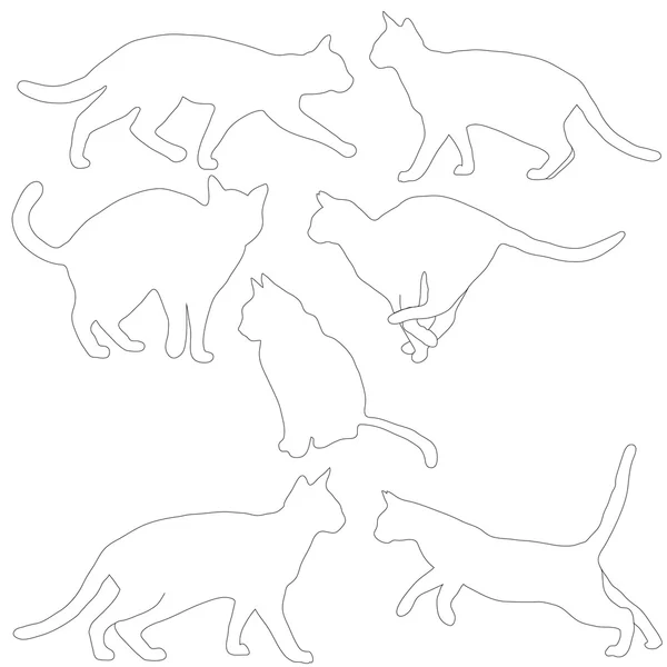 Katzen Kollektion - Vektor Silhouette — Stockvektor