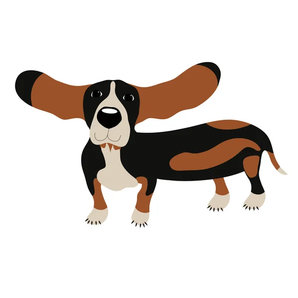 Cão Basset cão — Vetor de Stock