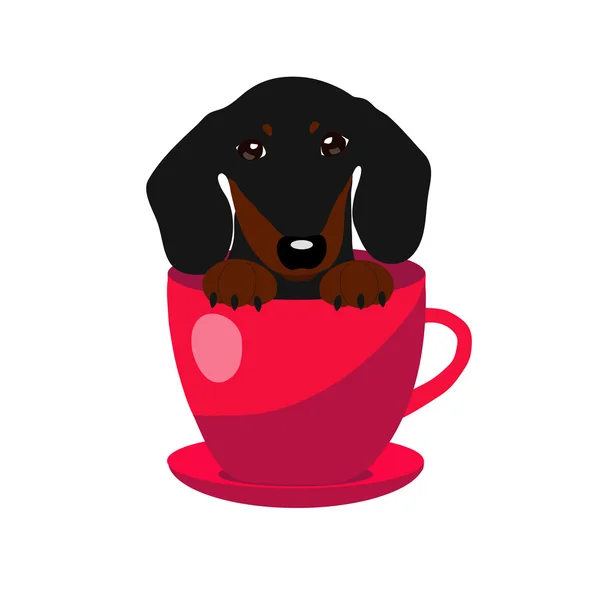 Bonito cão Dachshund em xícara de chá vermelha, ilustração, conjunto para moda bebê — Vetor de Stock