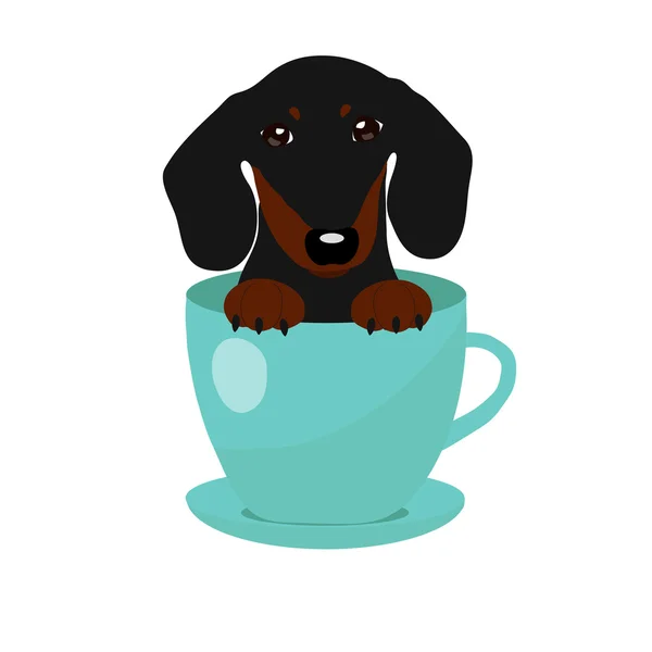 Bonito Dachshund cão em azul xícara de chá, ilustração, conjunto para bebê moda — Vetor de Stock