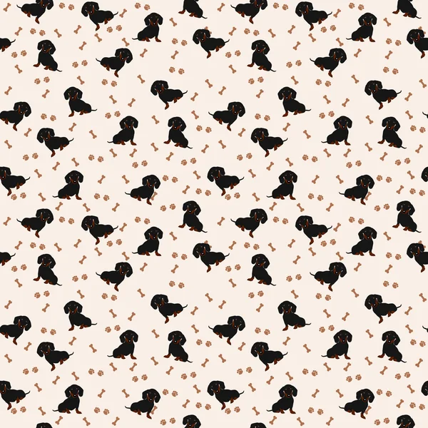 Chiens Dachshund vecteur motif sans couture. Chien teckel, os, empreinte de patte . — Image vectorielle