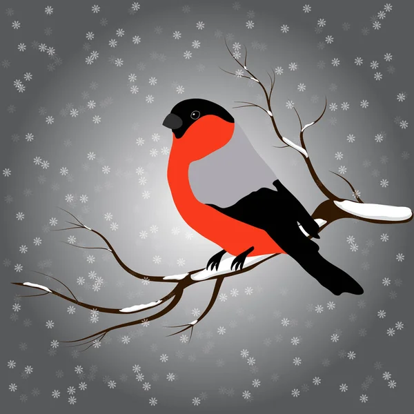 Domherre på grenen fir, snöfall. Vinter eller jul vektorillustration — Stock vektor