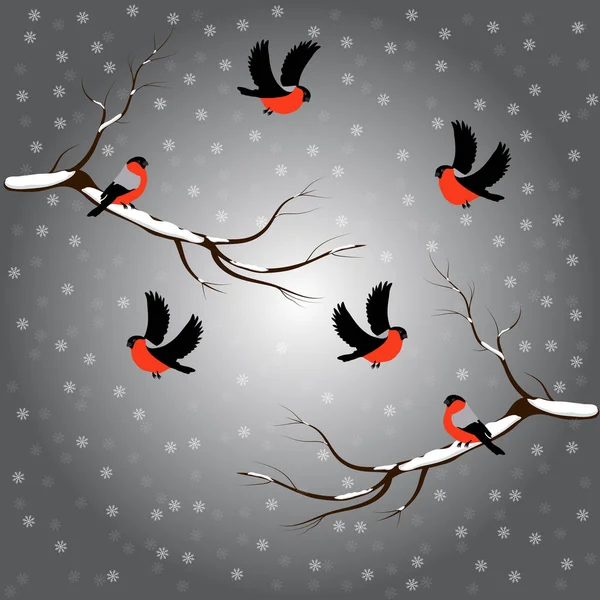 Goudvink op tak, sneeuw, vrolijk kerstfeest, grijze achtergrond. Winter vectorillustratie. — Stockvector