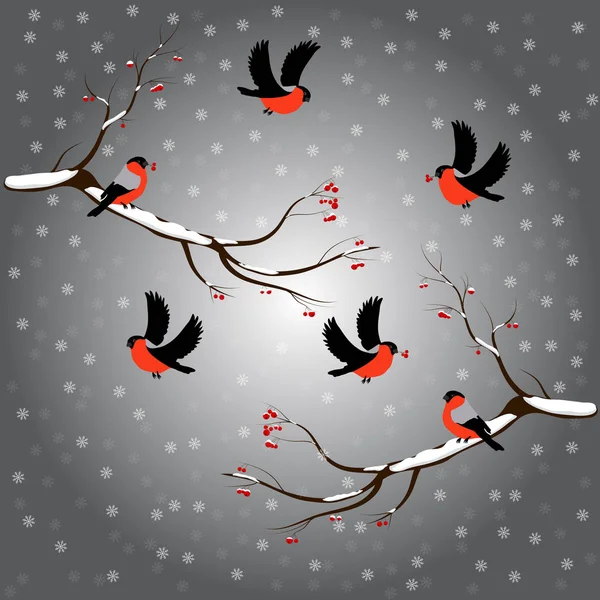 Gimpel auf Ebereschenzweig, Schnee, frohe Weihnachten, grauer Hintergrund. Illustration des Wintervektors. — Stockvektor