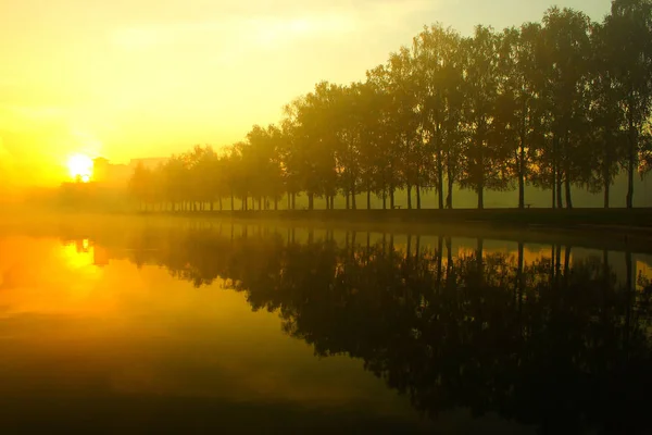 Manhã nebulosa sobre o lago, caem árvores refletidas na água — Fotografia de Stock