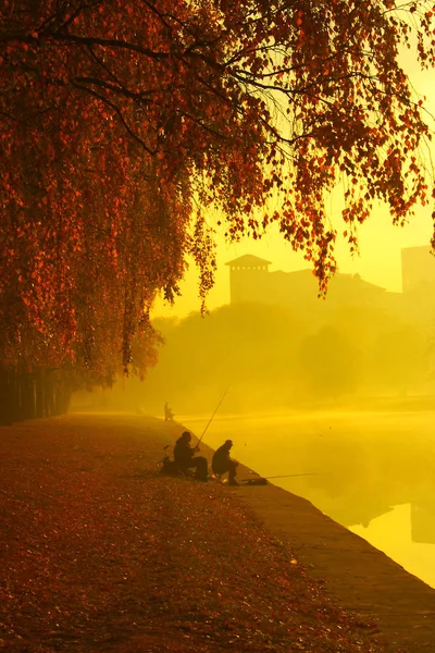 Matin brumeux au-dessus du lac, arbres d'automne reflétés dans l'eau — Photo