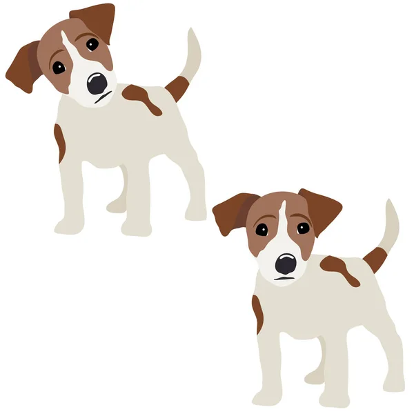 Jack Russell Terrier. Ilustração vetorial de um cão — Vetor de Stock