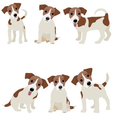 Jack Russell Terrier. Vector Illustration of a dog clipart