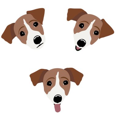 Jack Russell Terrier. Bir köpek vektör çizim