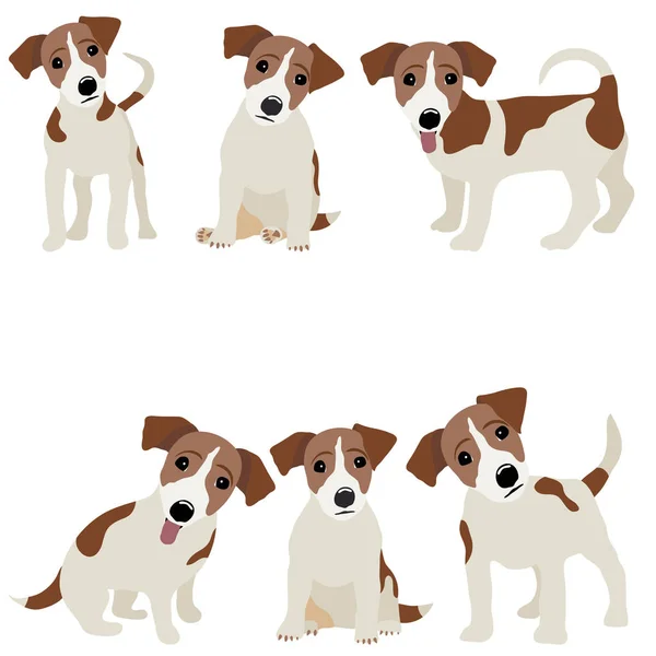 Jack Russell teriér. Vektorové ilustrace psa — Stockový vektor