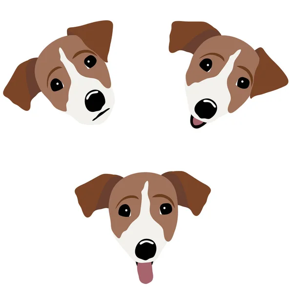 Jack Russell Terrier. Ilustração vetorial de um cão — Vetor de Stock