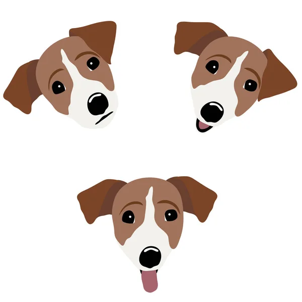 Jack Russell Terrier. Vektorillustration av en hund — Stock vektor