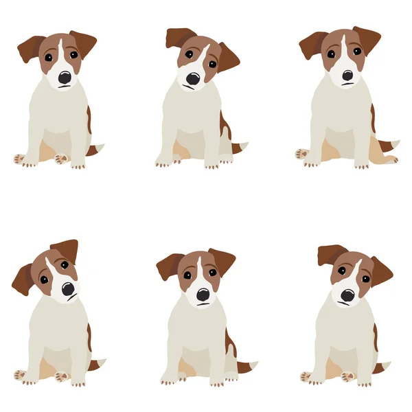 Jack Russell Terrier. Vector Ilustración de un perro — Vector de stock