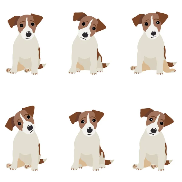 Jack Russell Terrier. Vector Illustration of a dog — Stock Vector