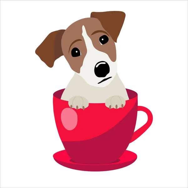 Jack Russell Terrier dans une tasse de thé rouge, illustration, ensemble pour la mode bébé — Image vectorielle