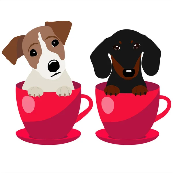 Jack Russell Terrier e Dachshund cão em xícara de chá vermelho, ilustração, conjunto para moda bebê —  Vetores de Stock