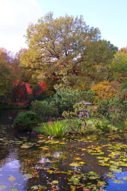 renkli sonbahar ağaçlar ve gölet Park
