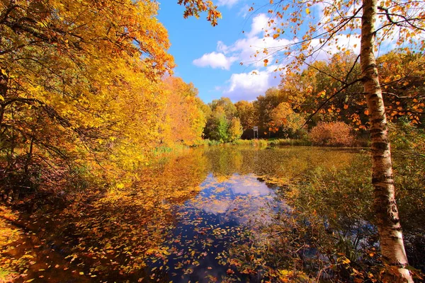 Árvores de outono coloridas e lagoa no parque — Fotografia de Stock