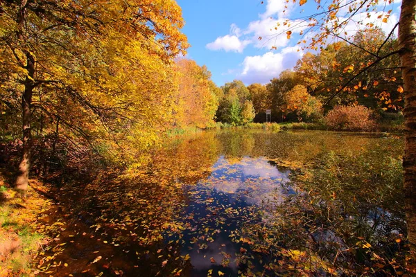 Πολύχρωμο φθινόπωρο δέντρα και λίμνη στο πάρκο — Φωτογραφία Αρχείου