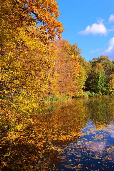 Árvores de outono coloridas e lagoa no parque — Fotografia de Stock