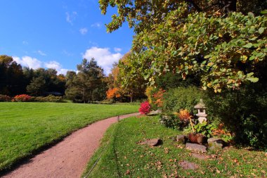 Güneşli bir günde güzel sonbahar park