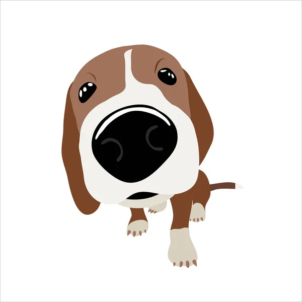 Jack Russell Terrier ile büyük baş ve burun. Bir köpek vektör çizim