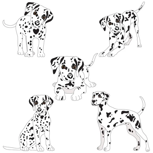 Σκυλιά της Δαλματίας, χαριτωμένα, λυπημένος. Vector εικονογράφηση πορτρέτο του κουτάβι Δαλματίας. Σκύλος απομονωμένες. — Διανυσματικό Αρχείο