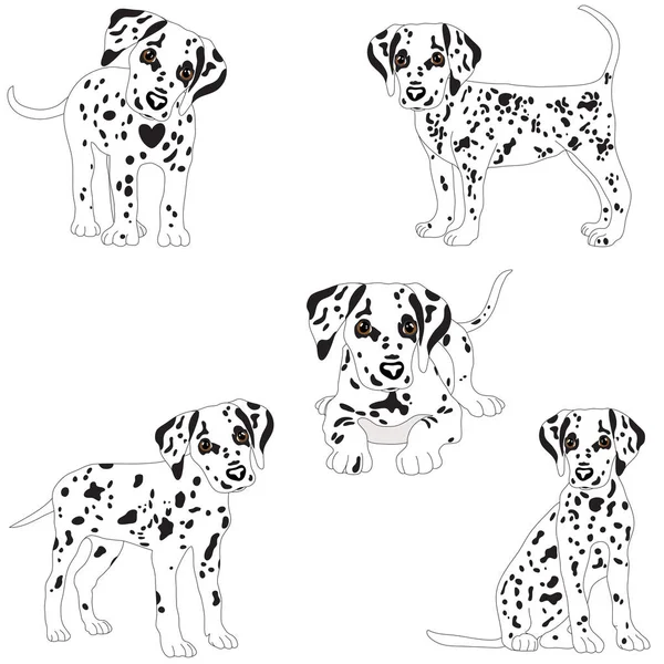 Dalmatyńczyki, słodkie, smutne. Wektor ilustracja portret Puppy Dalmacji. Na białym tle pies. — Wektor stockowy