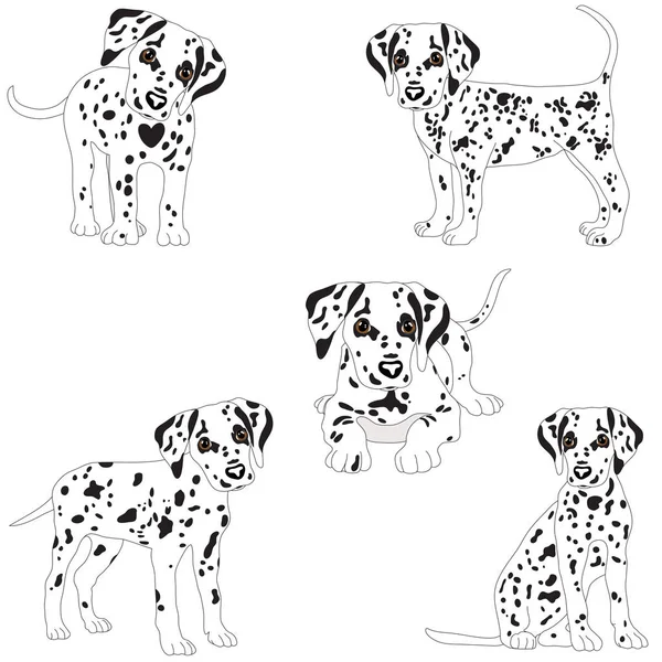 Dalmatiens, mignon, triste. Illustration vectorielle Portrait du chiot dalmate. Chien isolé . — Image vectorielle