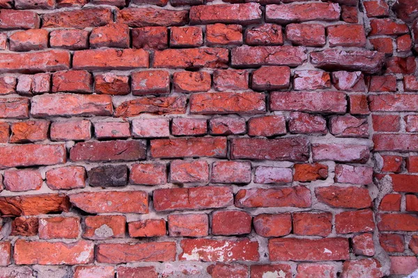 Briques Texture, mur de briques — Photo