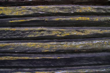 Ahşap dokular, ahşap panel arka plan doku ahşap panoları.