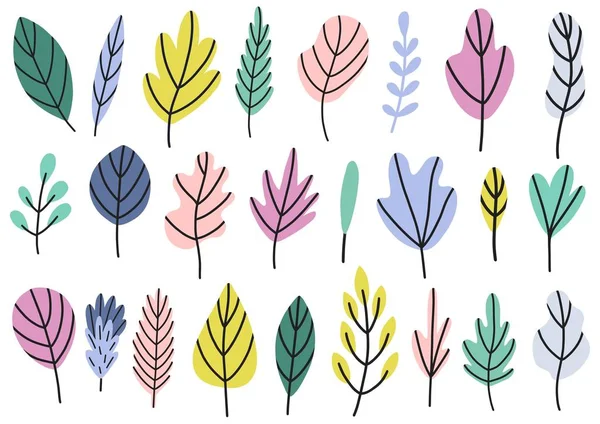 Plantes et feuilles dans la collection de couleurs vives — Image vectorielle