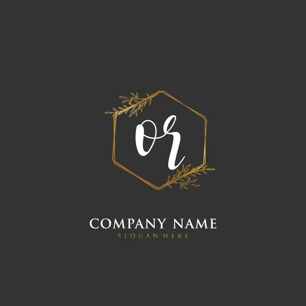 Handwritten Initial Letter Identity Logo Vector Logo Template Handwriting Signature — Stock Vector