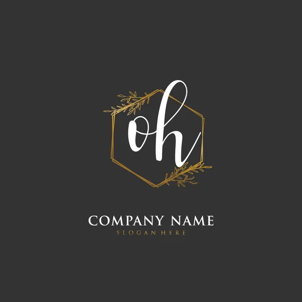 Handgeschreven Beginletter Voor Identiteit Logo Vector Logo Template Met Handschrift — Stockvector