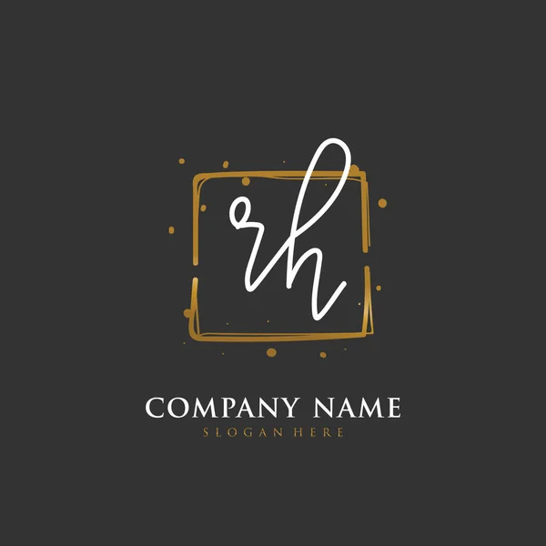 Handwritten Initial Letter Identity Logo Vector Logo Template Handwriting Signature — Stock Vector