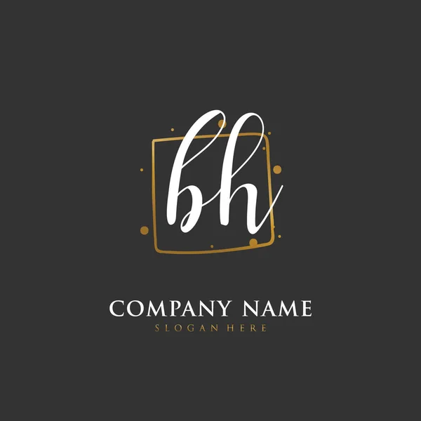 Handgeschreven Beginletter Voor Identiteit Logo Vector Logo Template Met Handschrift — Stockvector