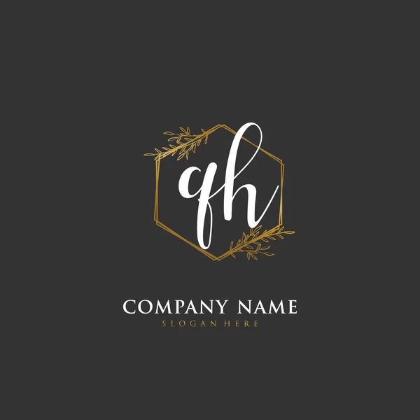 Handwritten Initial Letter Identity Logo Vector Logo Template Handwriting Signature — Stock Vector