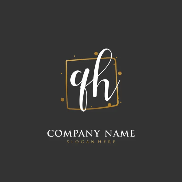 Handgeschreven Beginletter Voor Identiteit Logo Vector Logo Template Met Handschrift — Stockvector