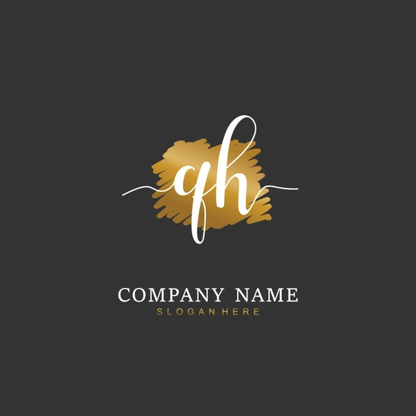 Handwritten Initial Letter Identity Logo Vector Logo Template Handwriting Signature — Stock Vector