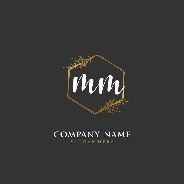 Handgeschreven Beginletter Voor Identiteit Logo Vector Logo Template Met Handschrift — Stockvector