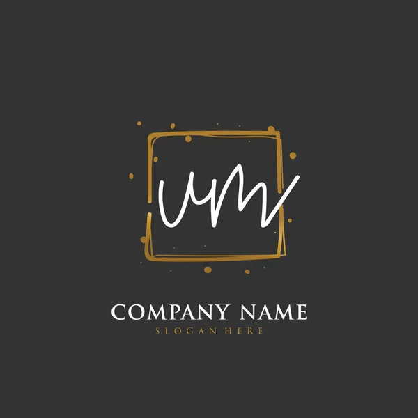 Handwritten Initial Letter Identity Logo Vector Logo Template Handwriting Signature — Stock Vector