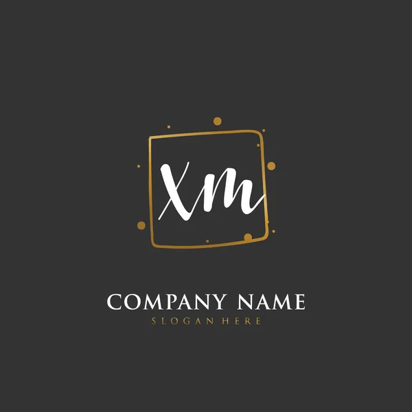 手写首字母X Xm用于标识和标识 具有笔迹和签名风格的矢量标识模板 — 图库矢量图片