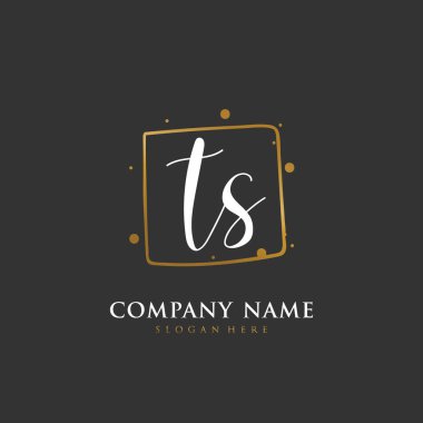 Kimlik ve logo için el yazısıyla yazılmış T S TS harfleri. El yazısı ve imza tarzıyla vektör logo şablonu