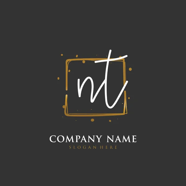 Handwritten Initial Letter Identity Logo Vector Logo Template Handwriting Signature — Stock Vector