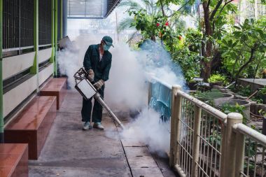 Adam iş yaymak dang humması ve zika virüs önlemek için sivrisinek ortadan kaldırmak için sisleme