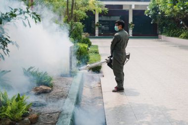 Adam iş yaymak dang humması ve zika virüs önlemek için sivrisinek ortadan kaldırmak için sisleme