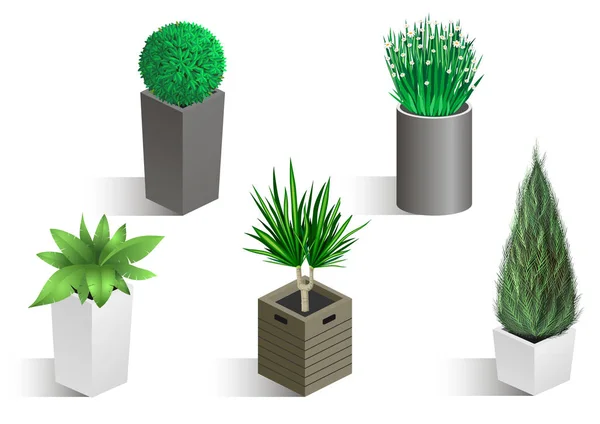 異なった植物の等尺性セット — ストックベクタ