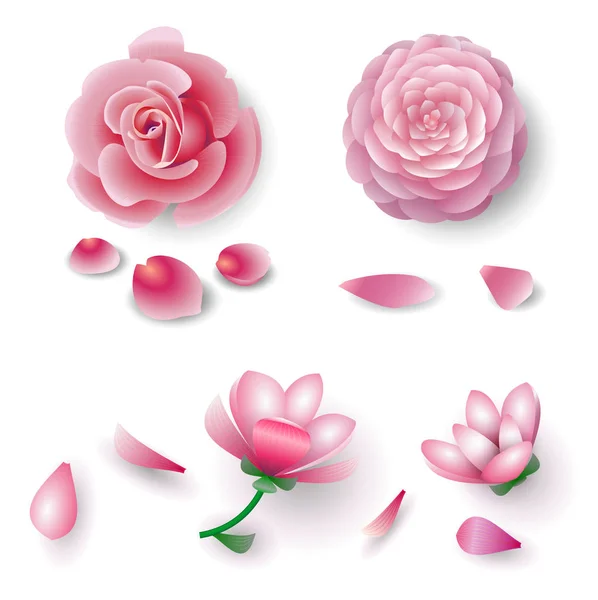 Conjunto de flores rosadas — Vector de stock
