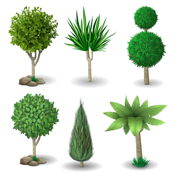 Ensemble de plantes décoratives — Image vectorielle